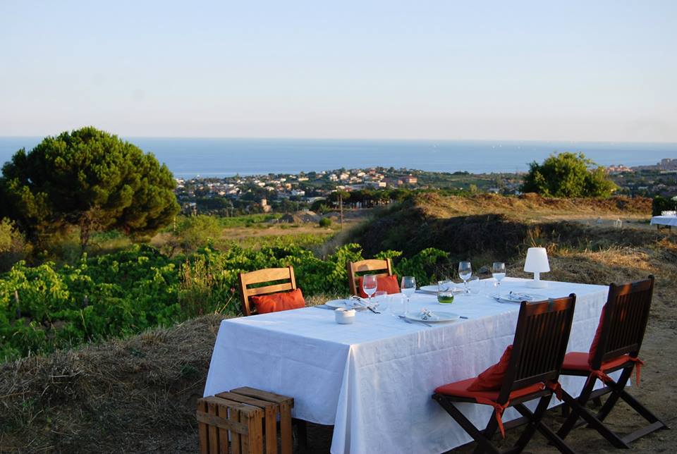 Private Wine Tour to Alella BARCELONA SECRETS Private Tour Guide