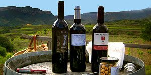 Day trips from Barcelona - wine tours