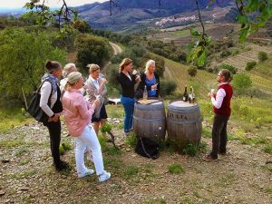 Priorat Wine Tours