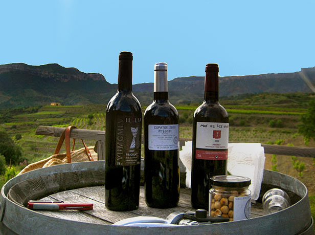 catalan wines priorat