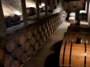 Priorat Wine Tours