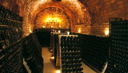 barcelona wine tours